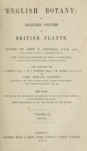 Cover of: English botany, or, coloured figures of British plants