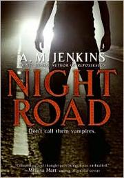 Cover of: Night road by A. M. Jenkins