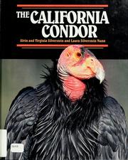 Cover of: The California condor by Alvin Silverstein