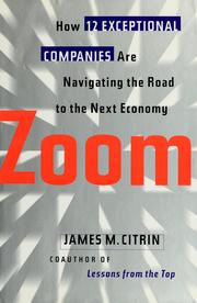 Cover of: Zoom: How 12 Exceptional Companies Are Navigating the Road to the Next Economy