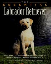 Cover of: The essential Labrador retriever