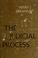 Cover of: The judicial process