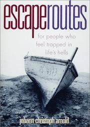 Cover of Escape Routes