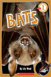 Cover of: Bats by 