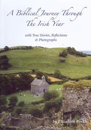 Cover of: A Biblical Journey through the Irish Year, with True Stories, Reflections & Photographs by 