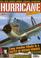 Cover of: Hurricane salute