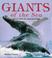 Cover of: Giants of the sea