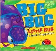 Cover of: Big Bug Little Bug