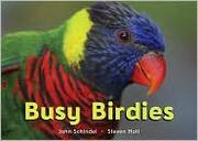 Cover of: Busy Birdies by 