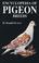 Cover of: Encyclopedia of pigeon breeds