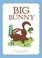 Cover of: Big Bunny