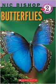 Nic Bishop butterflies and moths by Nic Bishop