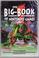 Cover of: The Big Book of Nintendo Games