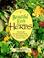 Cover of: Beautiful easy herbs