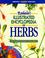 Cover of: Rodale's Illustrated Encyclopedia of Herbs