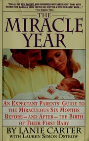 Cover of: The miracle year | Lanie Carter