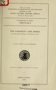 Cover of: The European corn borer by W. P. Flint