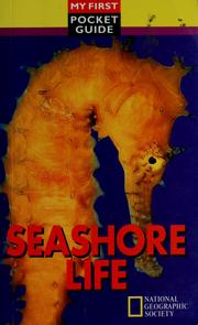 Cover of: Seashore life by Jenna Kinghorn