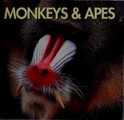 Cover of: Monkeys & apes