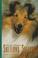 Cover of: The new complete Shetland sheepdog