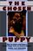 Cover of: The chosen puppy