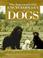 Cover of: The international encyclopedia of dogs