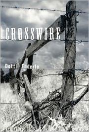 Cover of: Crosswire by Dotti Enderle