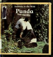 Cover of: Panda by Mary Hoffman