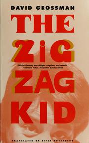 Cover of: The zigzag kid by David Grossman