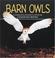 Cover of: Barn owls