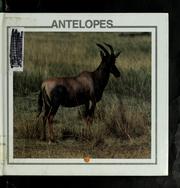 Antelopes by Lynn M. Stone