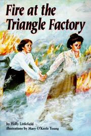 Cover of: Fire at the Triangle factory by Holly Littlefield
