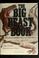 Cover of: The big beast book