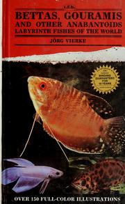 Cover of: Bettas, Gouramis, and other Anabantoids by Jörg Vierke