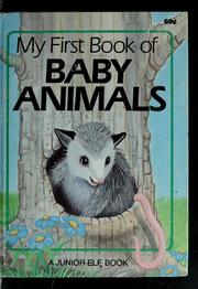 Cover of: My first book of baby animals