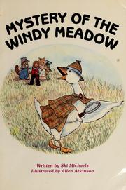 Mystery of the windy meadow by Ski Michaels