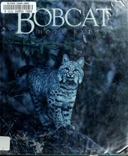 Bobcat by Hope Ryden
