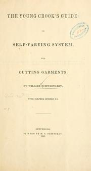 Cover of: The young crook's guide by William Schweinhart, William Schweinhart