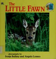 Cover of: The little fawn: photographs