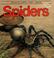 Cover of: Spiders (First Library Books)
