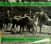 Cover of: A picture book of ponies by Dorothy Hinshaw Patent