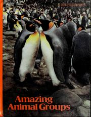 Cover of: Amazing animal groups