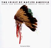 Cover of: The spirit of native America: beauty and mysticism in American Indian art