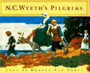 Cover of: N.C. Wyeth's pilgrims by Robert D. San Souci