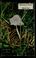 Cover of: Mushrooms of Colorado and adjacent areas