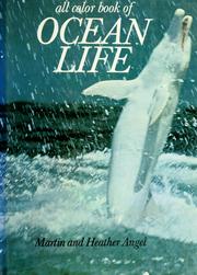 Cover of: Ocean life by Martin Vivian Angel