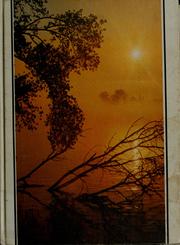 Cover of Living systems by James M. Ford