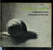 a-book-of-snails-cover