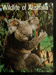 Cover of: Wildlife of Australia. by Vincent Serventy