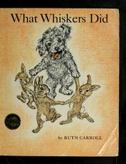 Cover of: What whiskers did